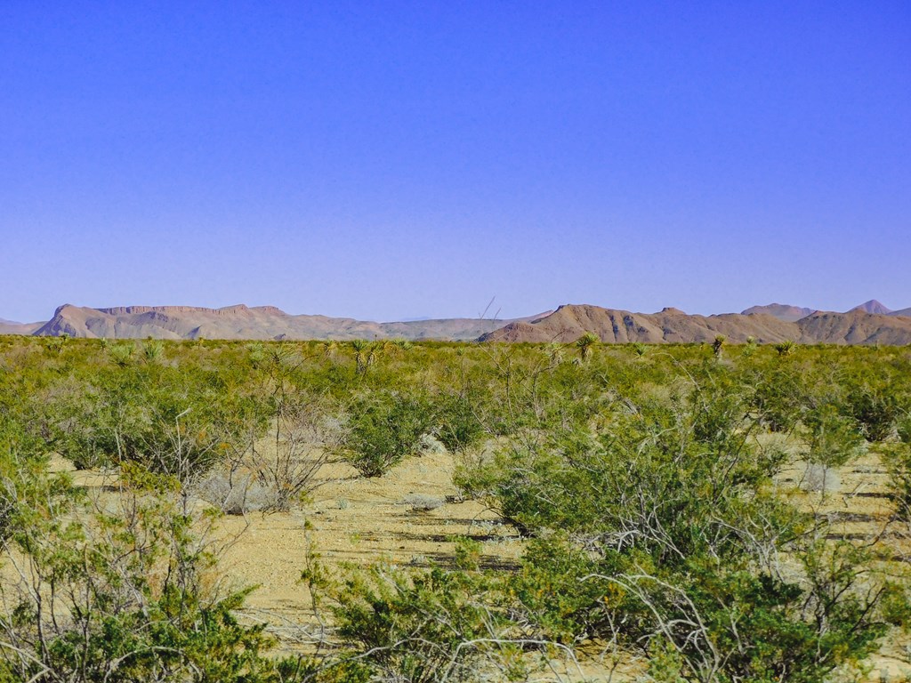 15846 Elm St, Terlingua, Texas image 9