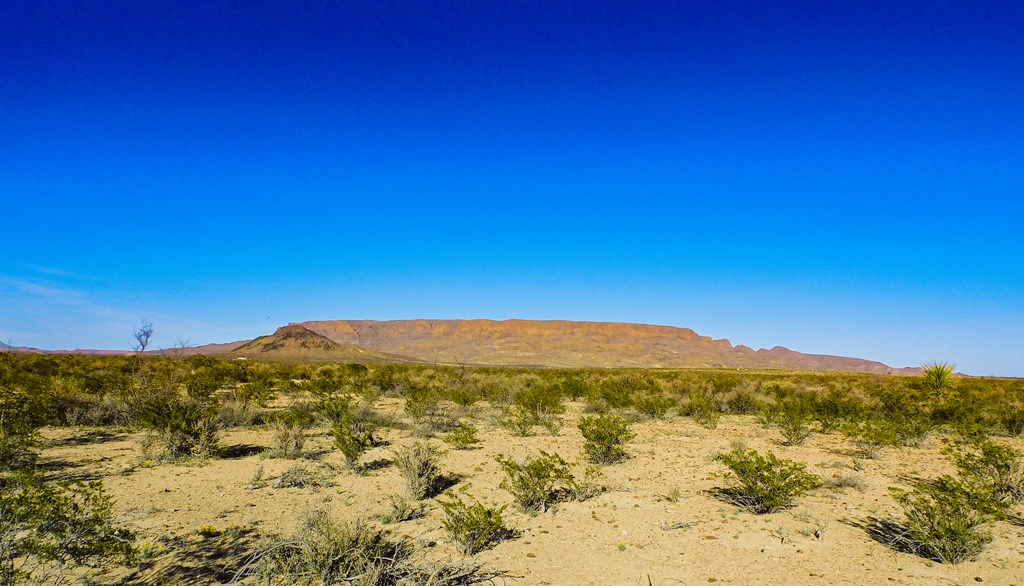 15846 Elm St, Terlingua, Texas image 16