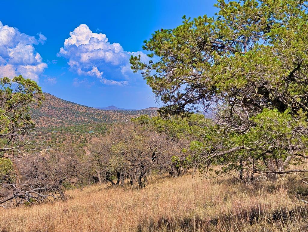114 Low Meadow Trail, Fort Davis, Texas image 9
