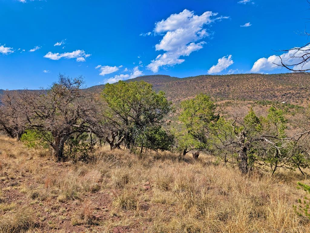 114 Low Meadow Trail, Fort Davis, Texas image 3