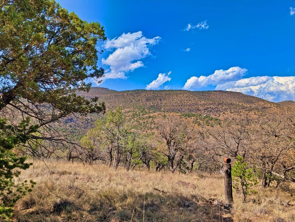 114 Low Meadow Trail, Fort Davis, Texas image 4