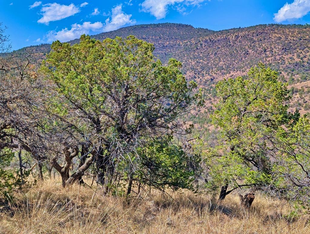 114 Low Meadow Trail, Fort Davis, Texas image 2