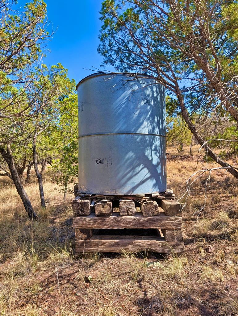 114 Low Meadow Trail, Fort Davis, Texas image 27