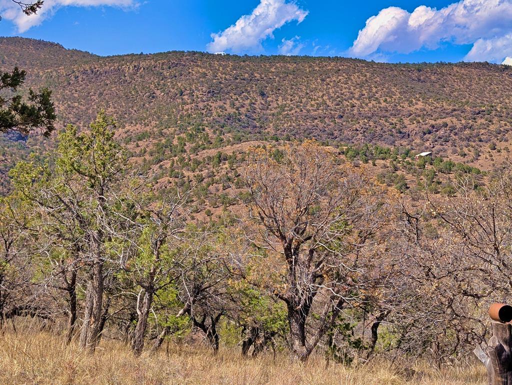 114 Low Meadow Trail, Fort Davis, Texas image 5