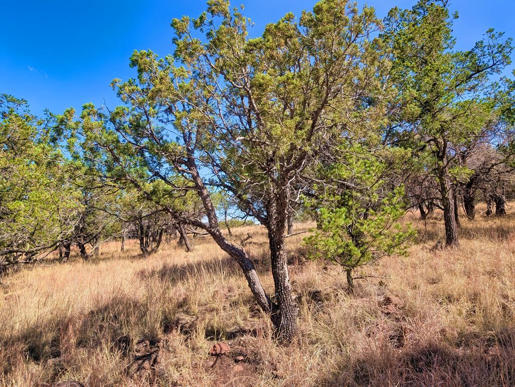 114 Low Meadow Trail, Fort Davis, Texas image 10