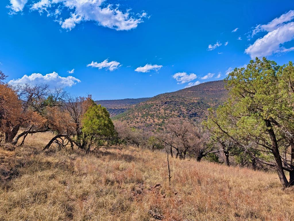 114 Low Meadow Trail, Fort Davis, Texas image 8