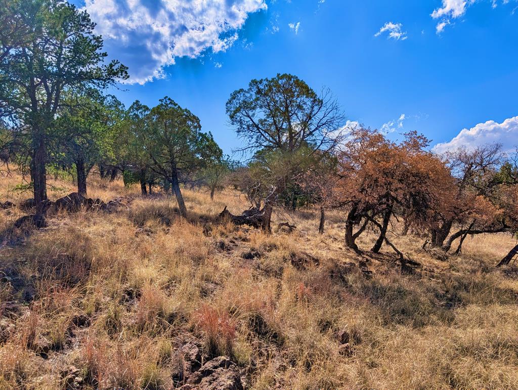 114 Low Meadow Trail, Fort Davis, Texas image 11