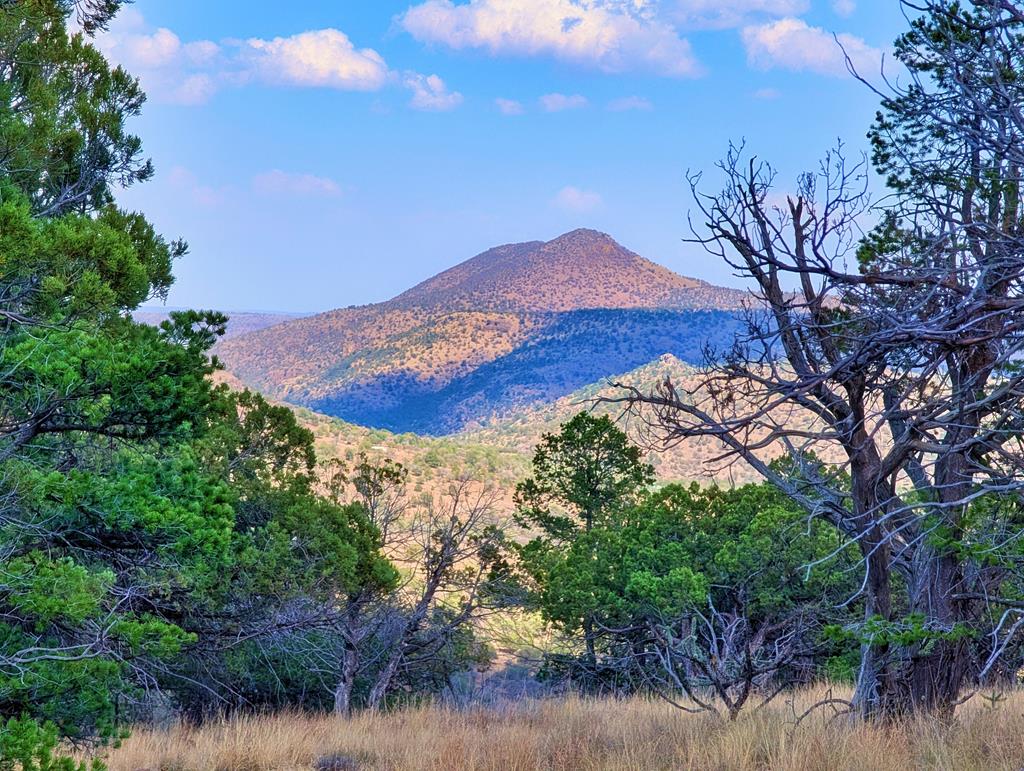 114 Low Meadow Trail, Fort Davis, Texas image 1