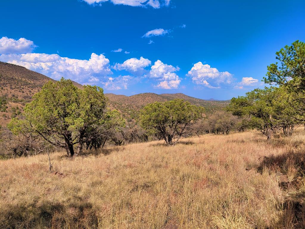 114 Low Meadow Trail, Fort Davis, Texas image 7
