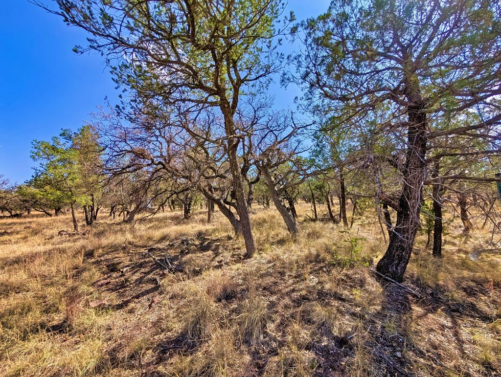 114 Low Meadow Trail, Fort Davis, Texas image 29