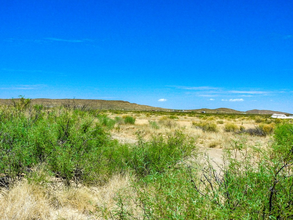 17070 Ruby Dr, Terlingua, Texas image 18