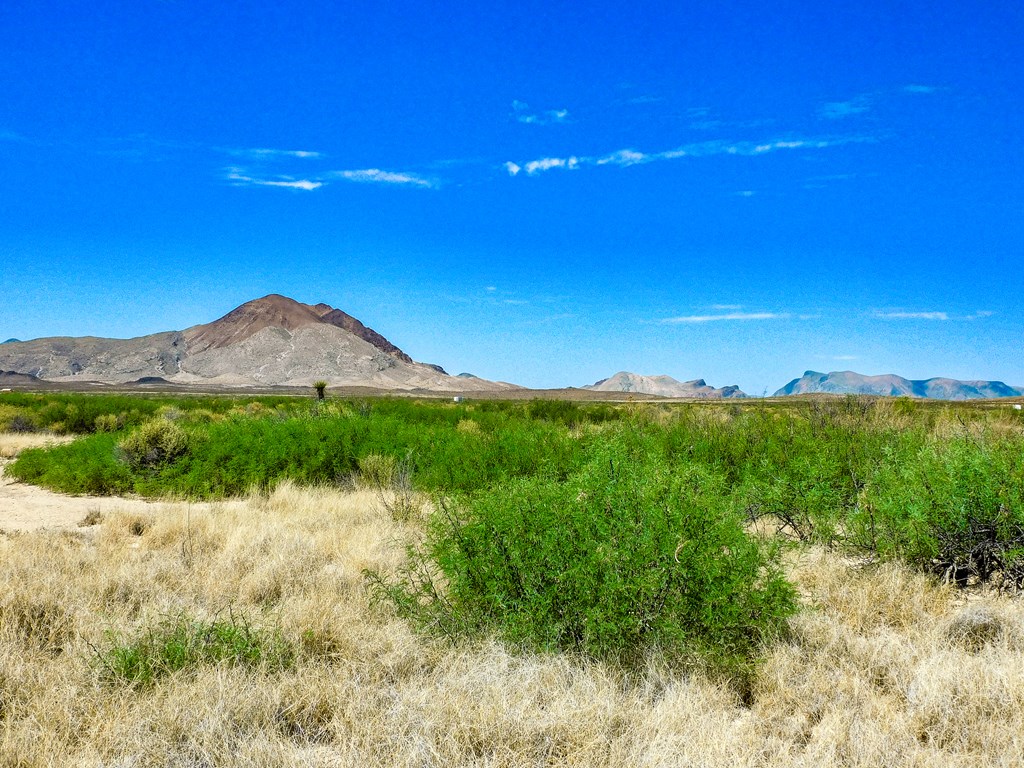 17070 Ruby Dr, Terlingua, Texas image 6