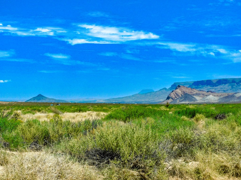 17070 Ruby Dr, Terlingua, Texas image 14