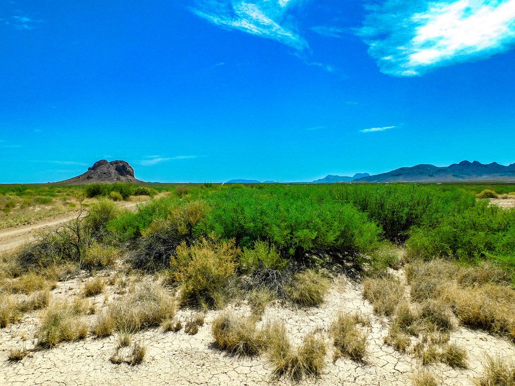 17070 Ruby Dr, Terlingua, Texas image 2