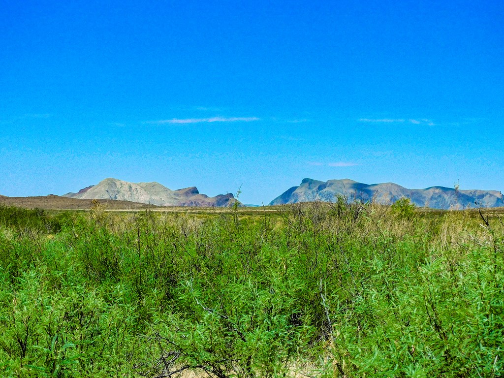 17070 Ruby Dr, Terlingua, Texas image 20