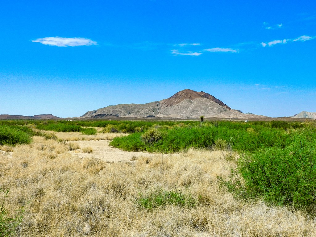 17070 Ruby Dr, Terlingua, Texas image 5