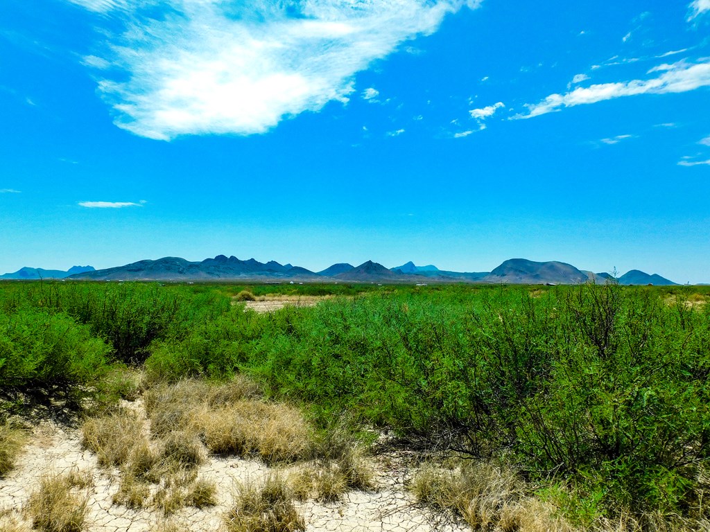 17070 Ruby Dr, Terlingua, Texas image 11