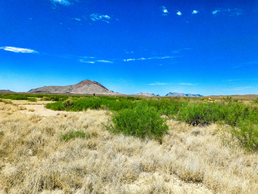 17070 Ruby Dr, Terlingua, Texas image 4