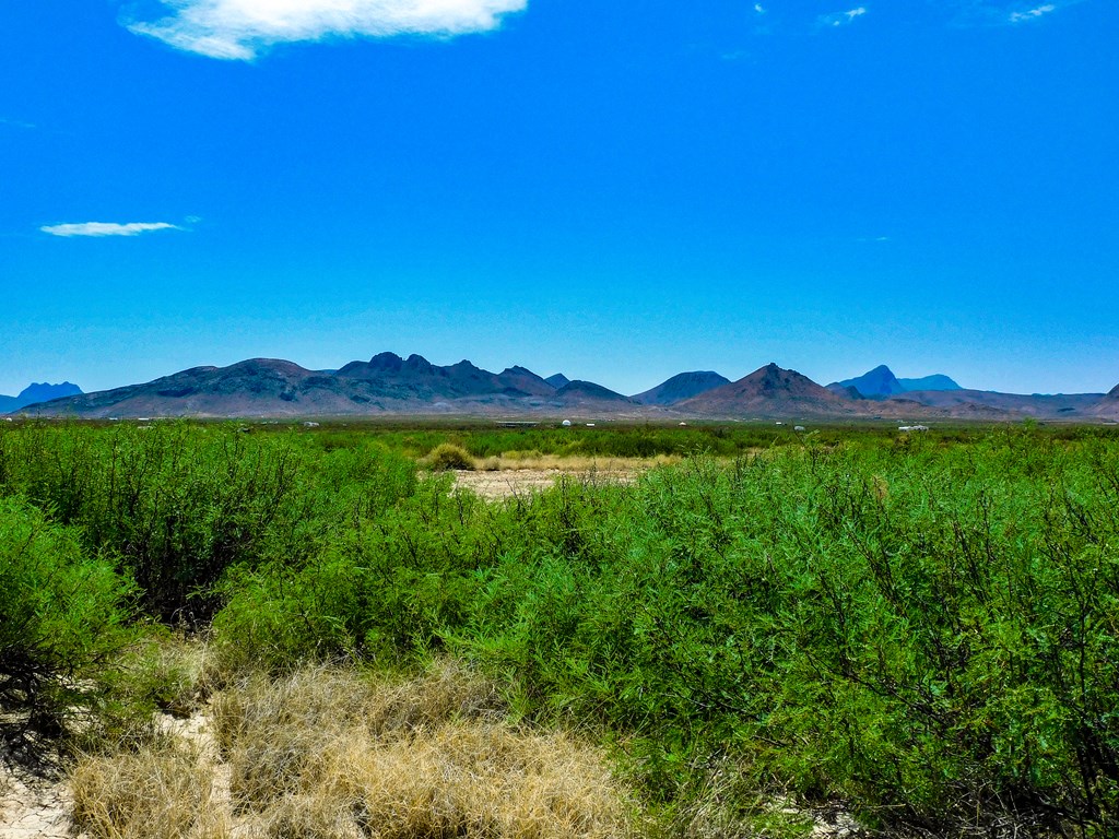 17070 Ruby Dr, Terlingua, Texas image 10