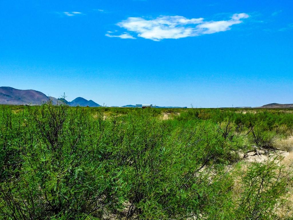 17070 Ruby Dr, Terlingua, Texas image 8