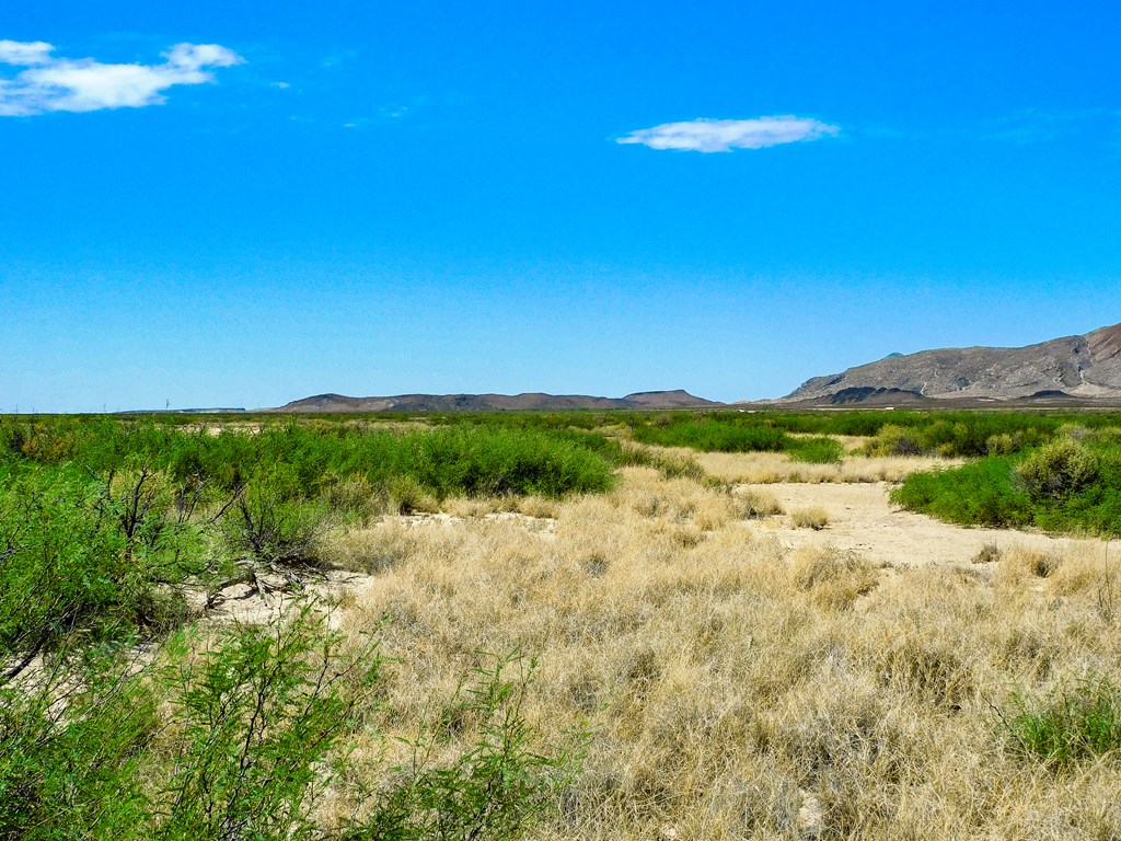 17070 Ruby Dr, Terlingua, Texas image 7