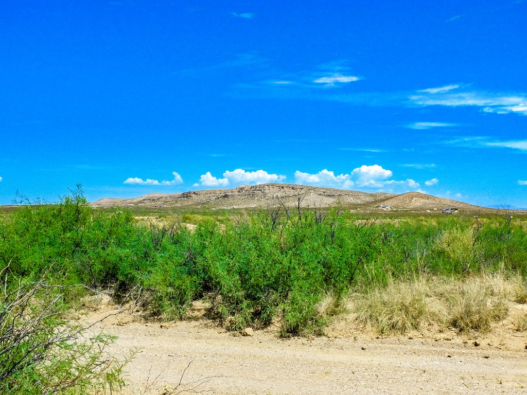 17070 Ruby Dr, Terlingua, Texas image 16