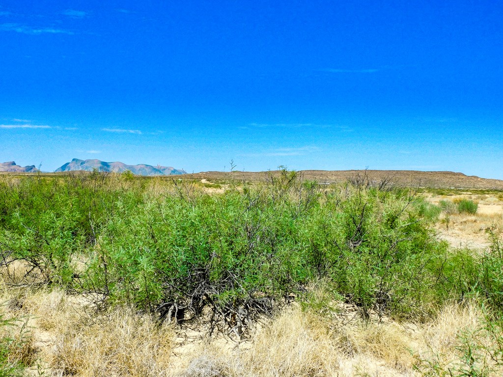 17070 Ruby Dr, Terlingua, Texas image 19