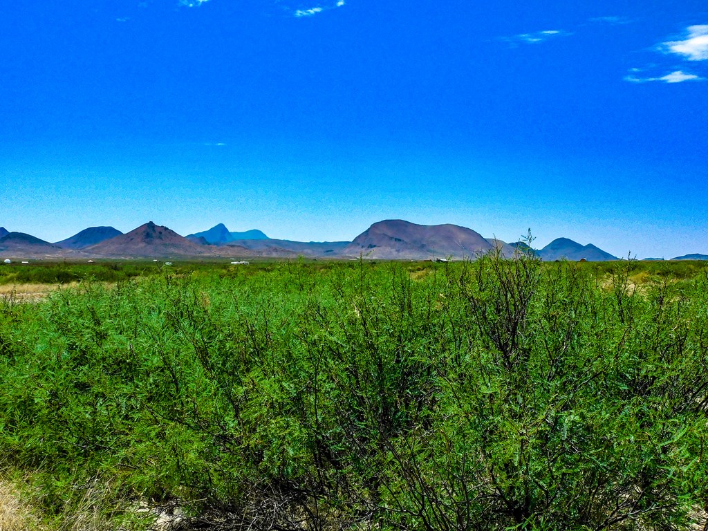 17070 Ruby Dr, Terlingua, Texas image 9