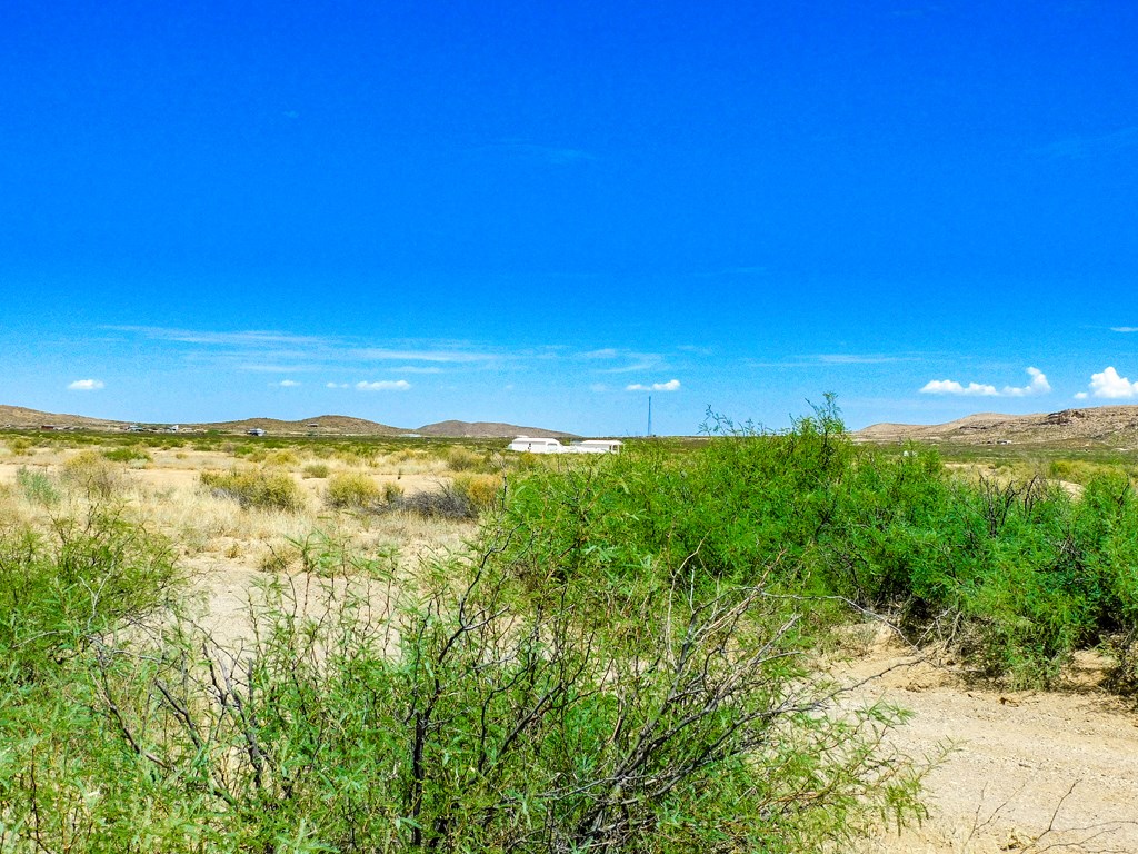 17070 Ruby Dr, Terlingua, Texas image 17