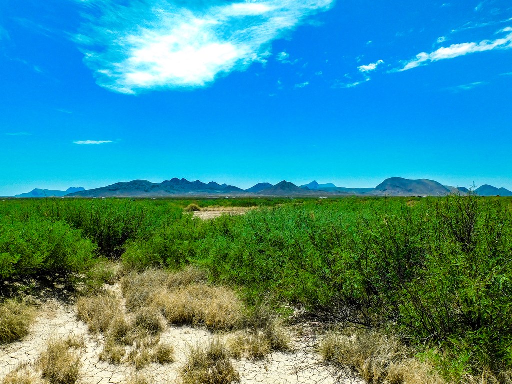 17070 Ruby Dr, Terlingua, Texas image 12