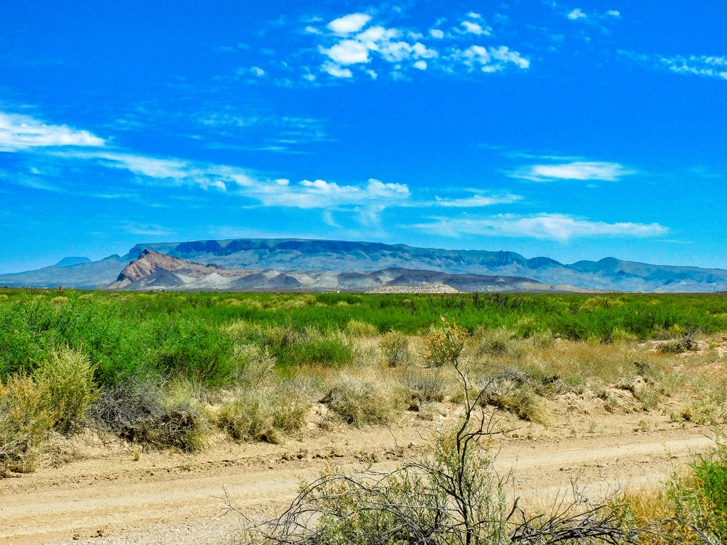 17070 Ruby Dr, Terlingua, Texas image 13