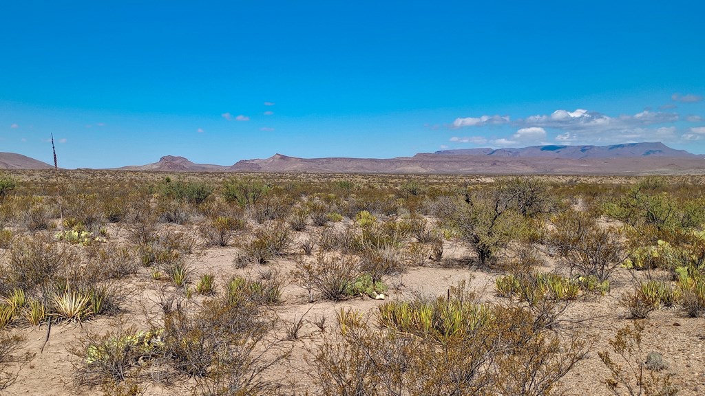 Marathon, Terlingua, Texas image 5