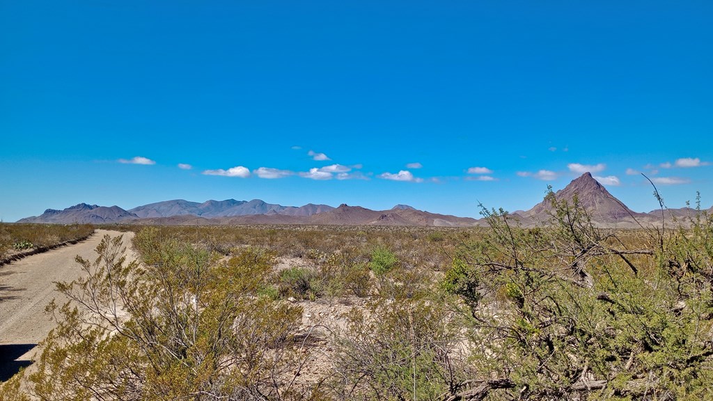 Marathon, Terlingua, Texas image 4