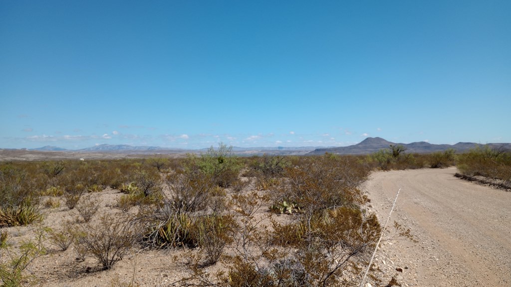 Marathon, Terlingua, Texas image 7