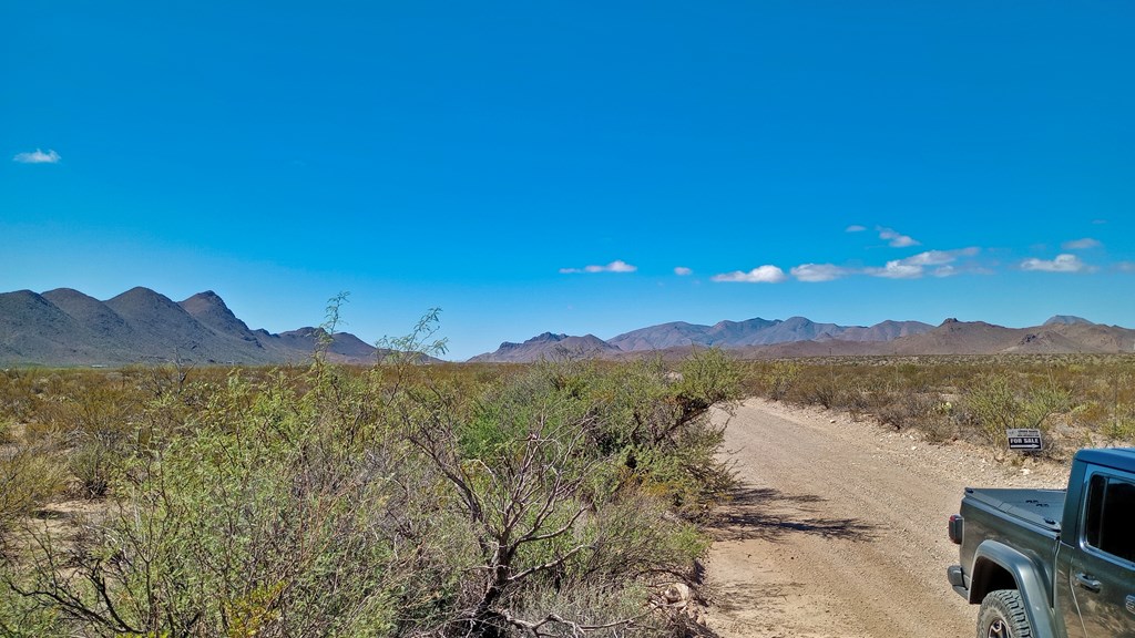 Marathon, Terlingua, Texas image 3