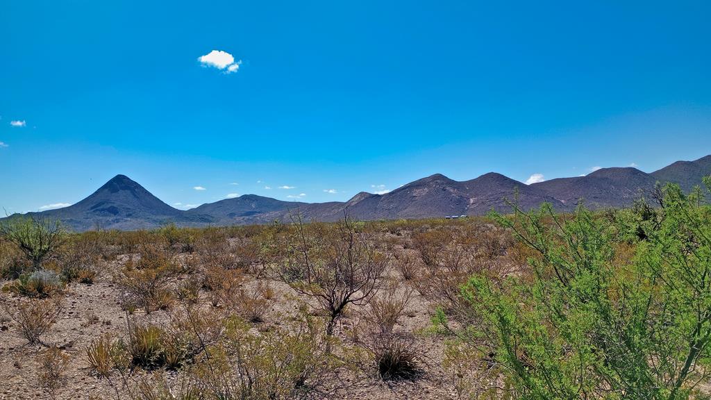 Marathon, Terlingua, Texas image 1