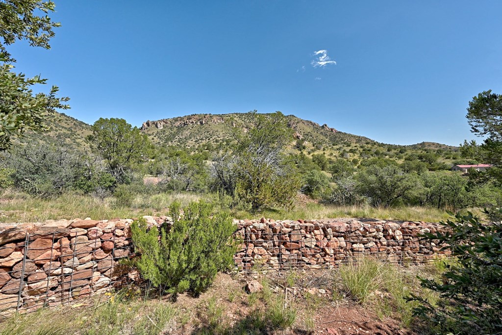 100 N Canyon Dr, Fort Davis, Texas image 11