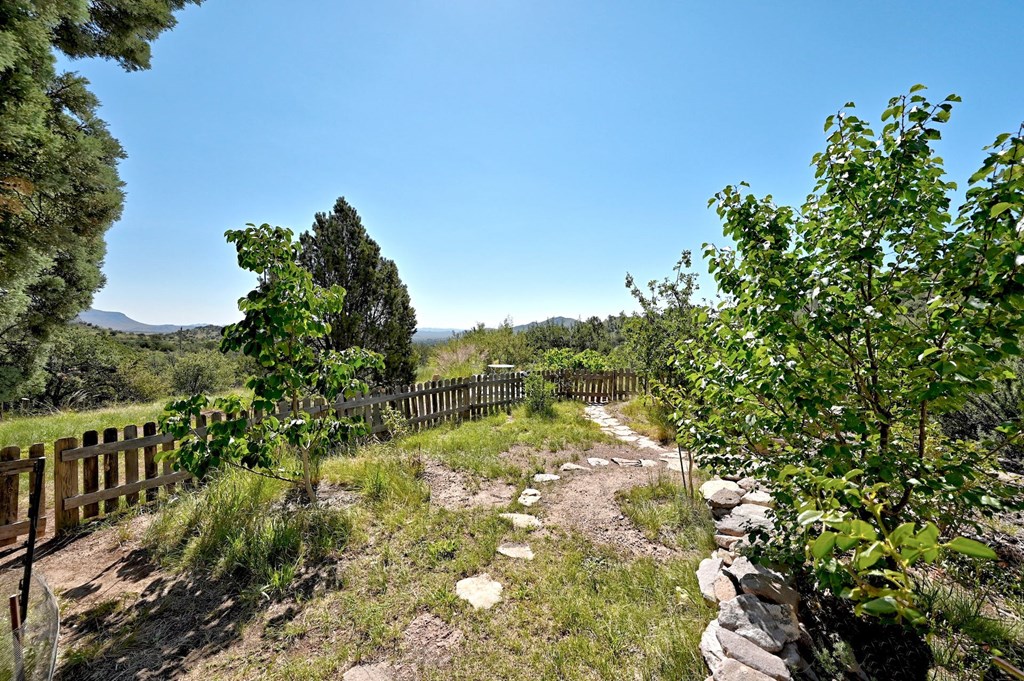 100 N Canyon Dr, Fort Davis, Texas image 12