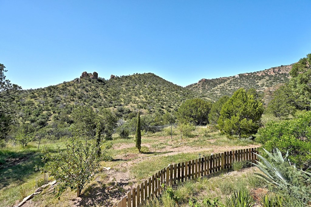 100 N Canyon Dr, Fort Davis, Texas image 17