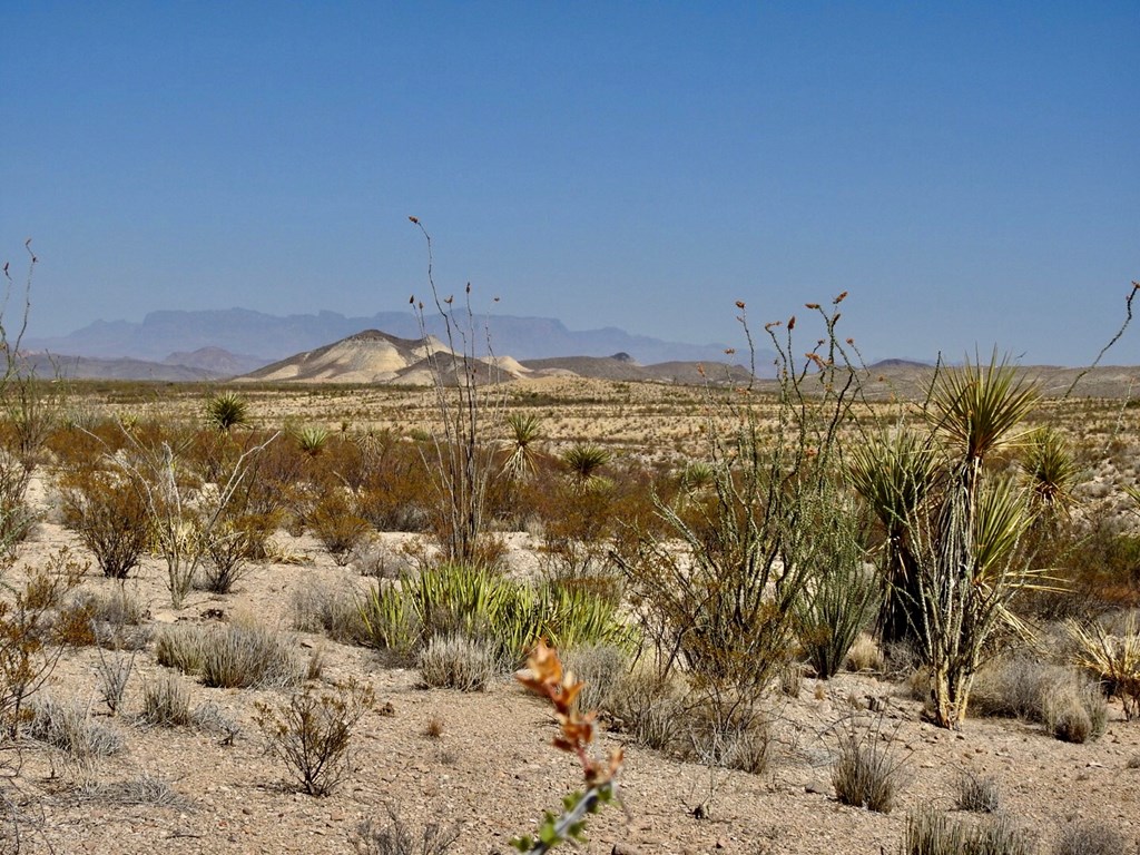 2637 Martin Cutacross Rd, Terlingua, Texas image 4