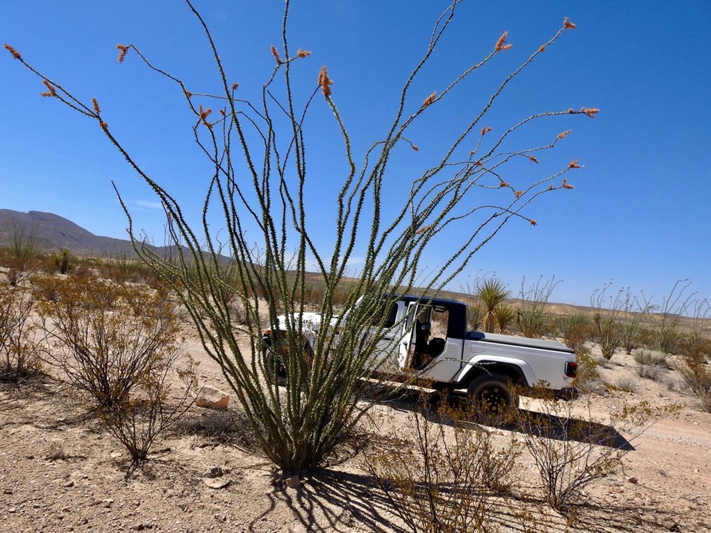 2637 Martin Cutacross Rd, Terlingua, Texas image 14