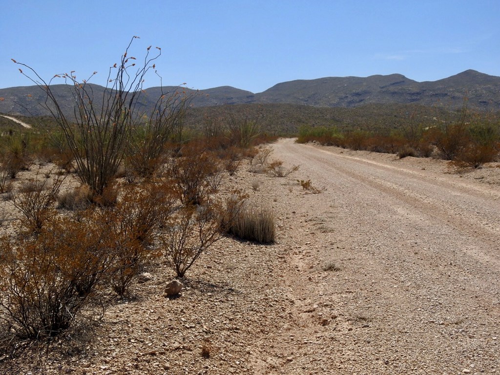 2637 Martin Cutacross Rd, Terlingua, Texas image 9