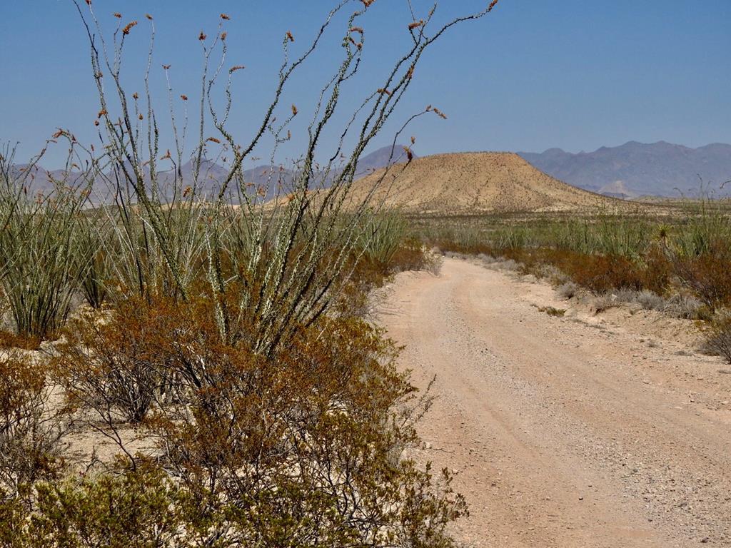 2637 Martin Cutacross Rd, Terlingua, Texas image 7