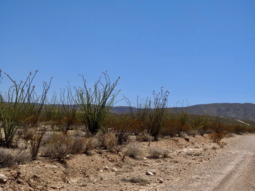 2637 Martin Cutacross Rd, Terlingua, Texas image 28