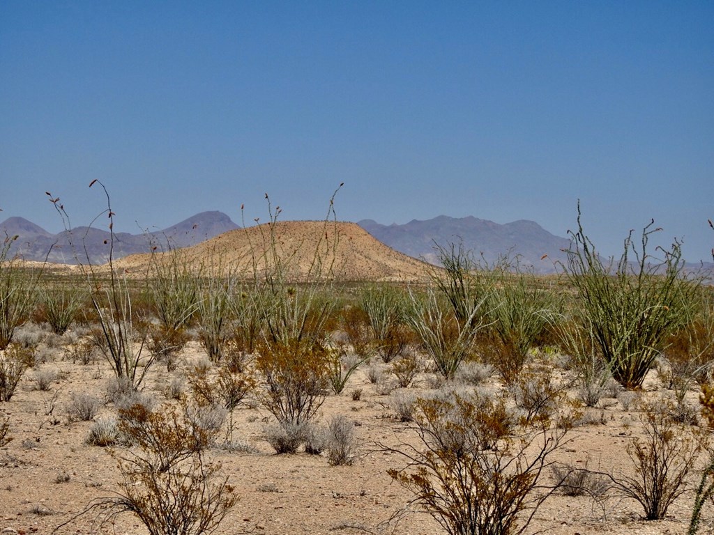 2637 Martin Cutacross Rd, Terlingua, Texas image 10