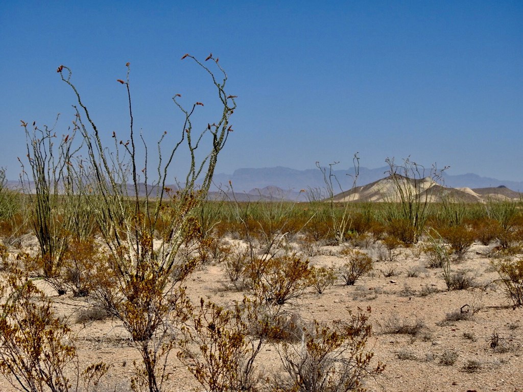 2637 Martin Cutacross Rd, Terlingua, Texas image 23