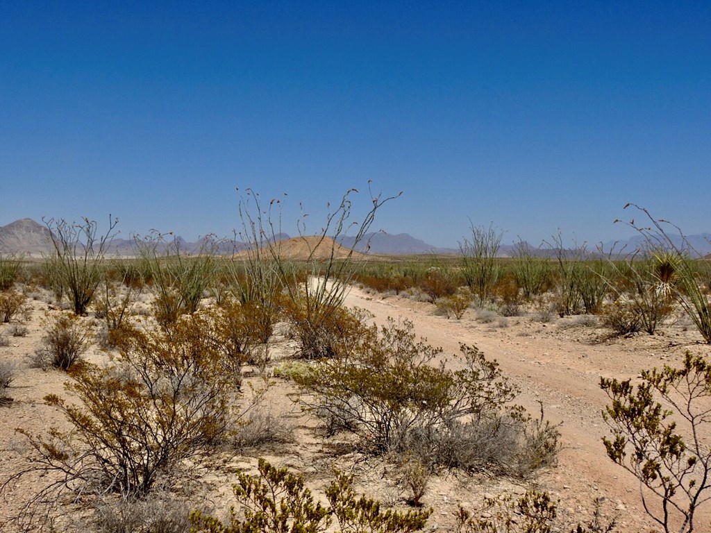 2637 Martin Cutacross Rd, Terlingua, Texas image 16