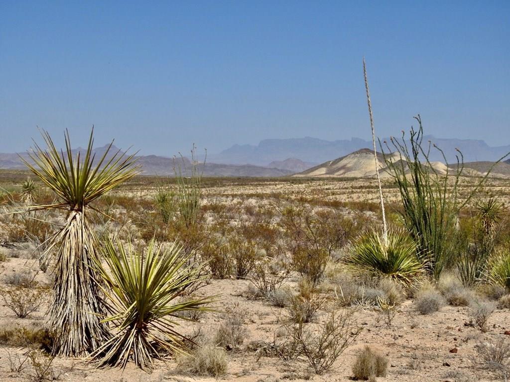 2637 Martin Cutacross Rd, Terlingua, Texas image 3