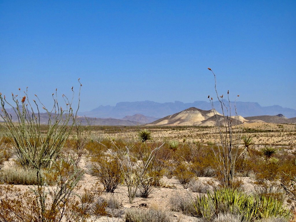 2637 Martin Cutacross Rd, Terlingua, Texas image 6