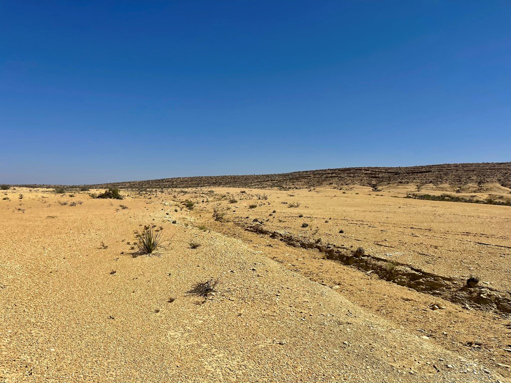 F 709 Wallace, Terlingua, Texas image 7